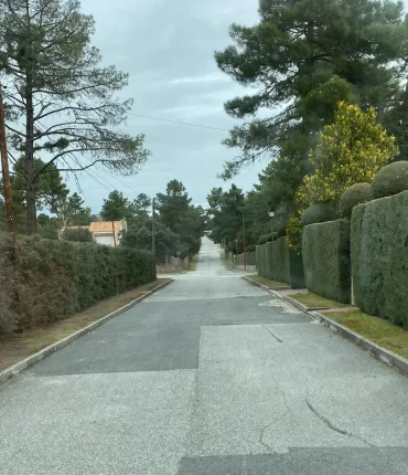 Limpieza de calles (desbroce, limpieza y recogida)