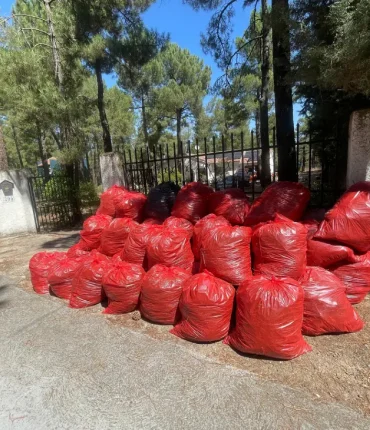 Retirada de bolsas y residuos vegetales