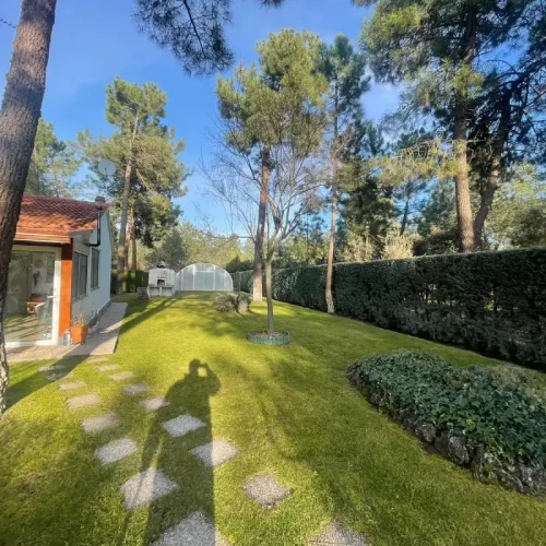 mantenimiento_jardin5 (1)