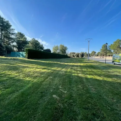 mantenimiento_pacela4 (1)