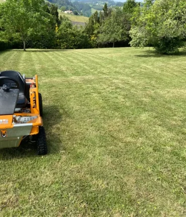 mantenimiento_parcela2 (1)