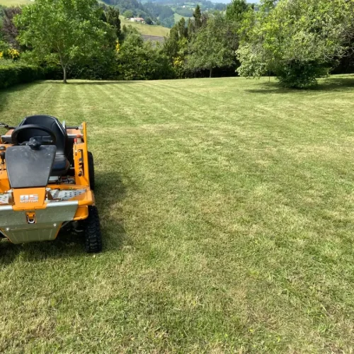 mantenimiento_parcela2 (1)