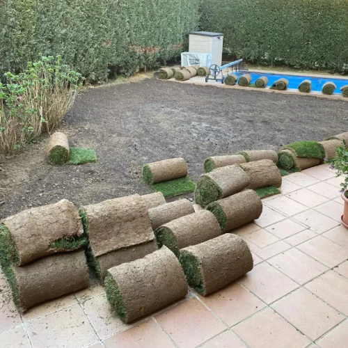 proyectos_paisajismo