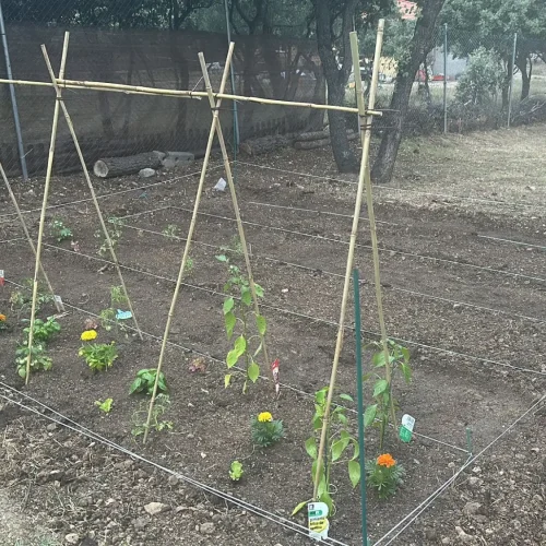 cesped_Y_jardin1 (1)