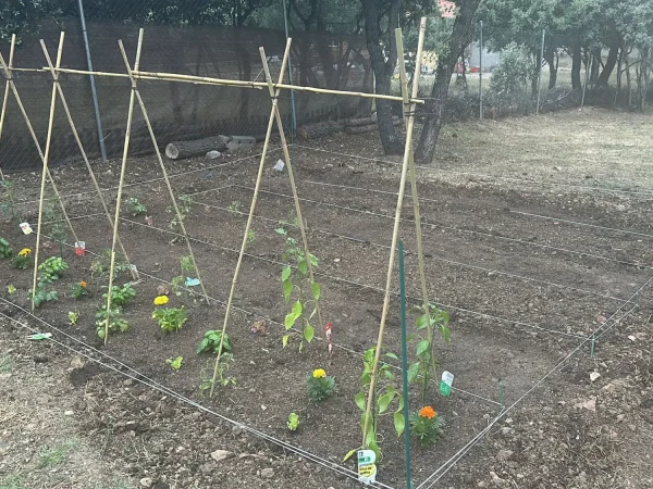 cesped_Y_jardin1 (1)