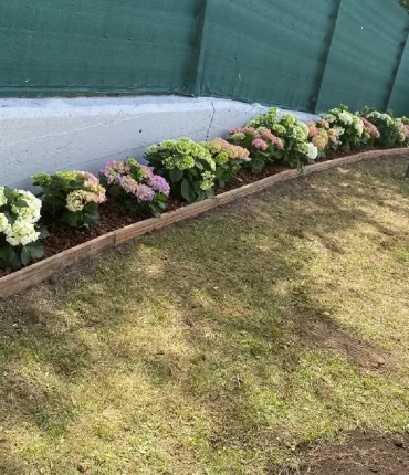 cesped_Y_jardin2 (1)