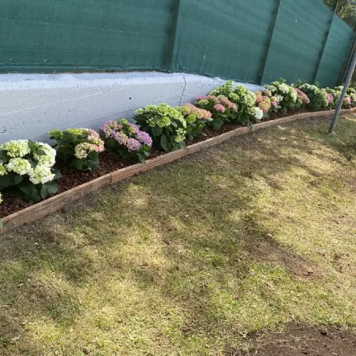 cesped_Y_jardin2 (1)