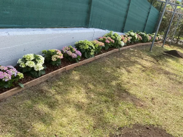 cesped_Y_jardin2 (1)