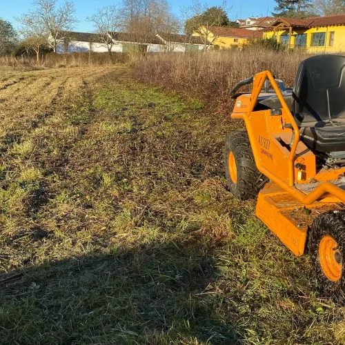 desbroce_y_limpieza_1 (1)