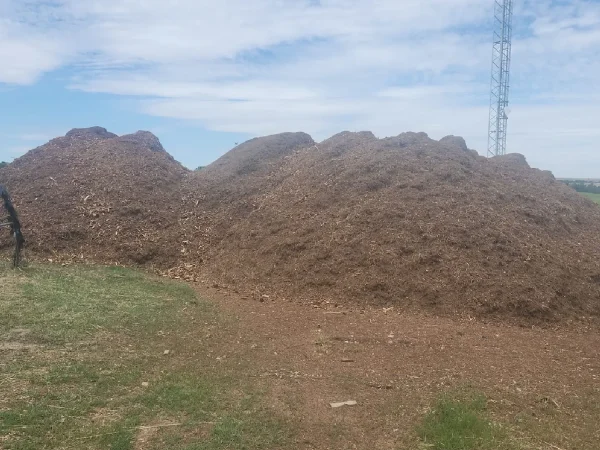 gestor_Residuos_2 (1)