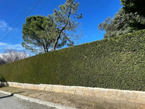 instalacion_riego3 (1)