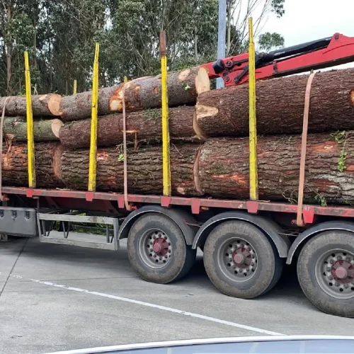 residuos_vegetales (1)