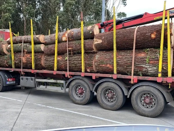 residuos_vegetales (1)